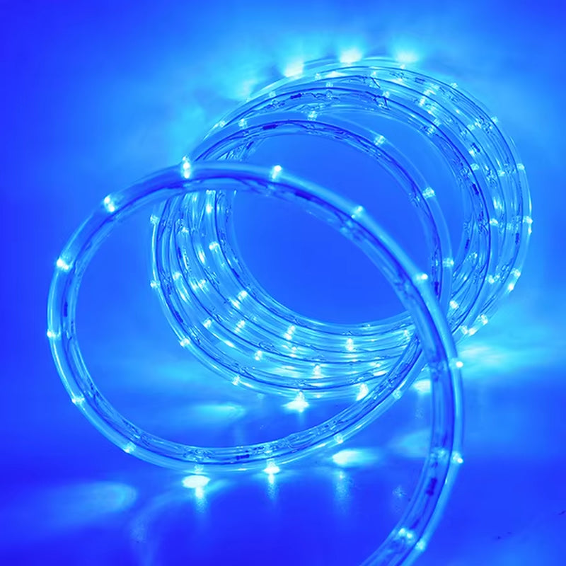 EU 220V LED Rope Tube String Fairy Lights 360 Degree Ligthing Waterproof Outdoor Garden Lamp Rainbow Led Strip