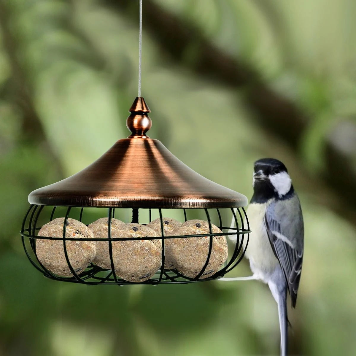 Vogelfutterhäuschen Im Freien Hängender Futterspender Für Wildvögel 17 X 17 X 14 Cm