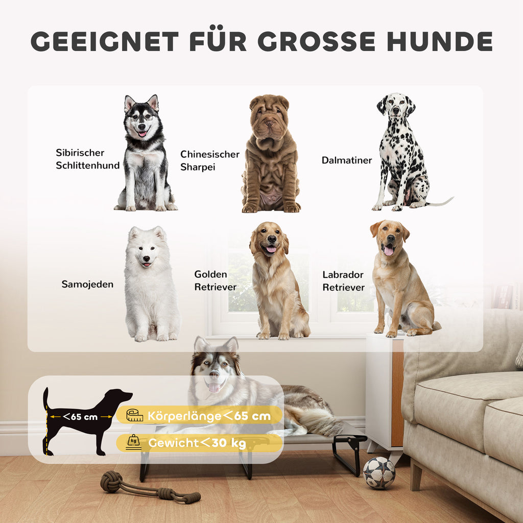 Erhöhtes Hundebett Klappbar Haustierbett, Outdoor Hundeliege Mit Netzdesign