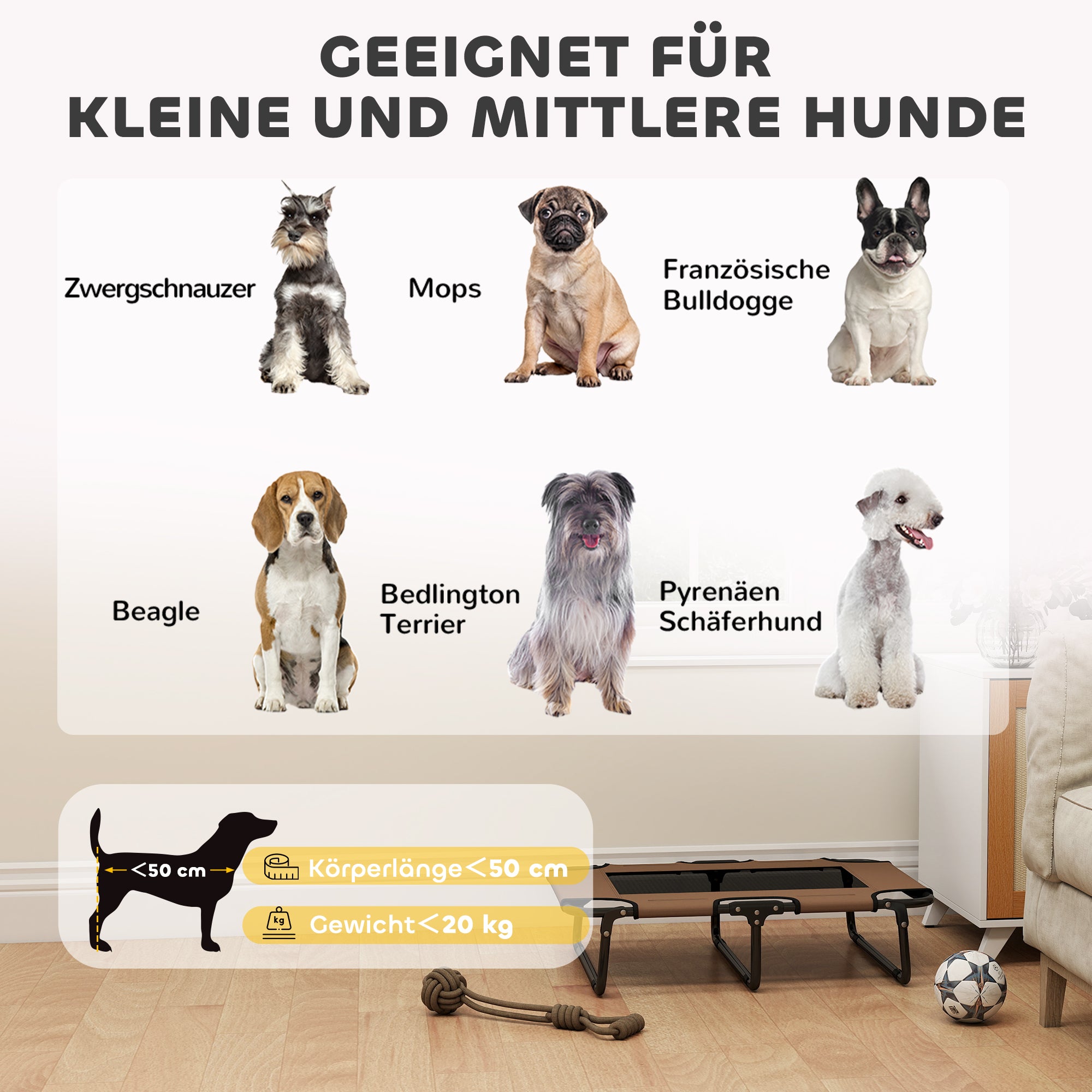 Erhöhtes Hundebett Klappbar Haustierbett, Outdoor Hundeliege Mit Netzdesign