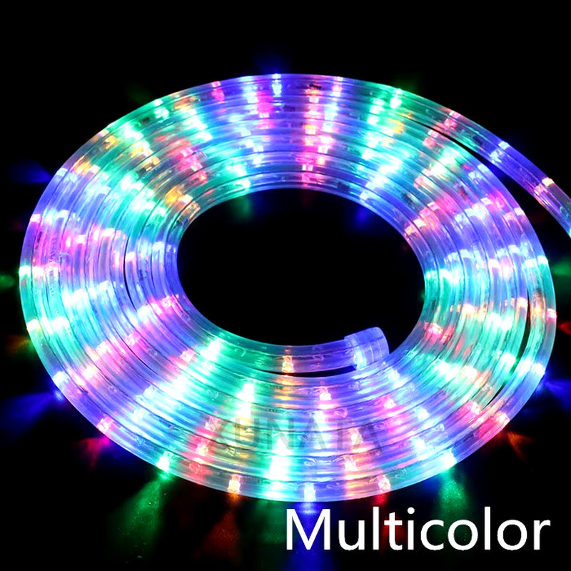 EU 220V LED Rope Tube String Fairy Lights 360 Degree Ligthing Waterproof Outdoor Garden Lamp Rainbow Led Strip