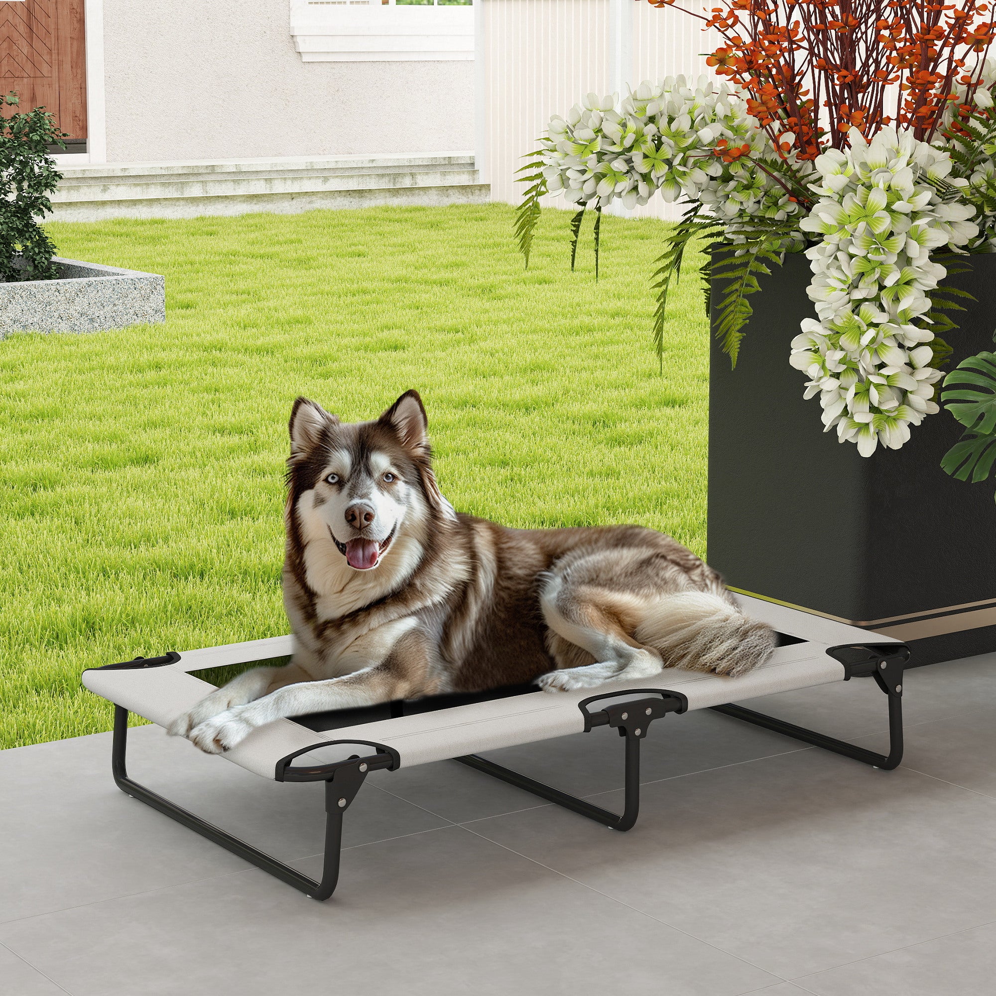 Erhöhtes Hundebett Klappbar Haustierbett, Outdoor Hundeliege Mit Netzdesign