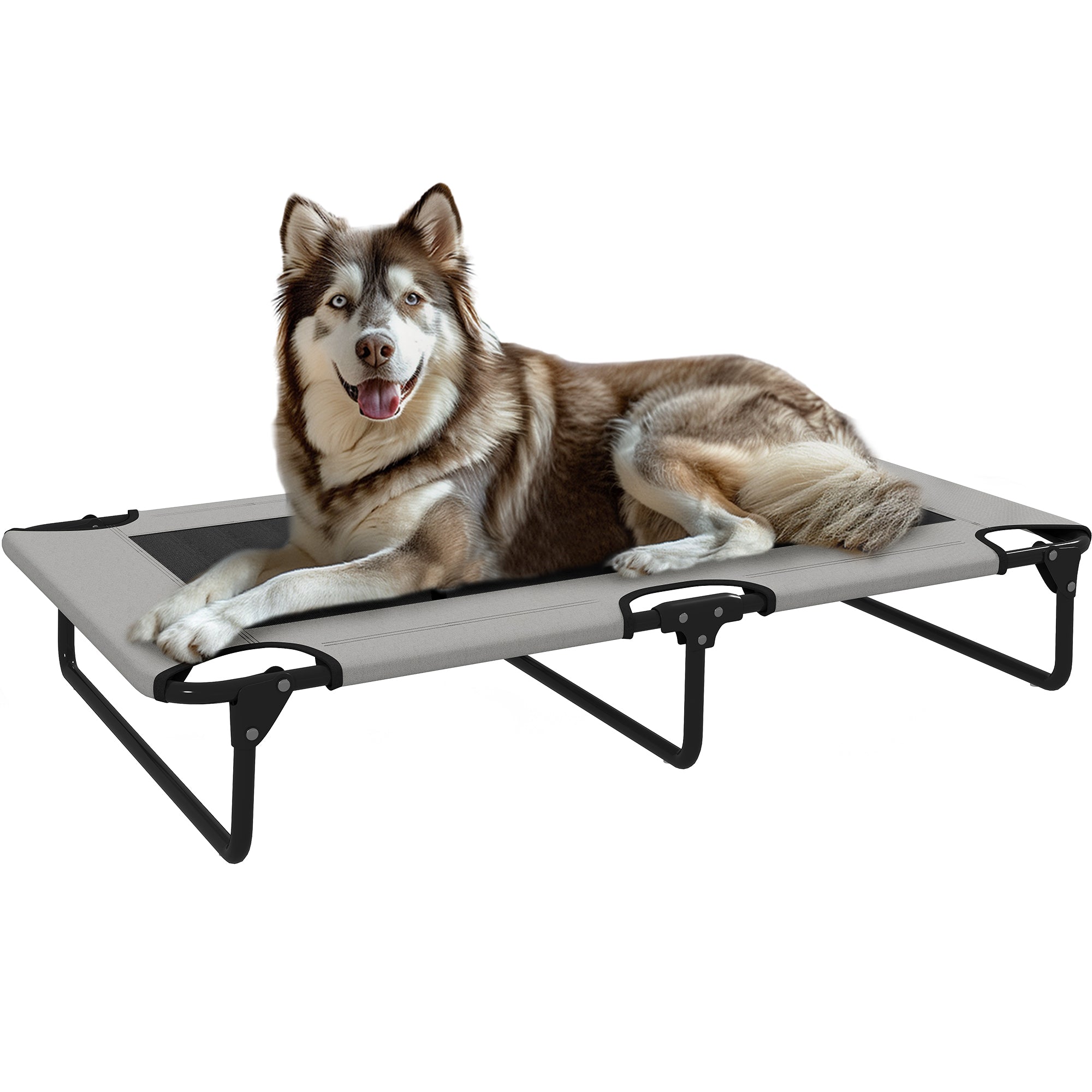 Erhöhtes Hundebett Klappbar Haustierbett, Outdoor Hundeliege Mit Netzdesign